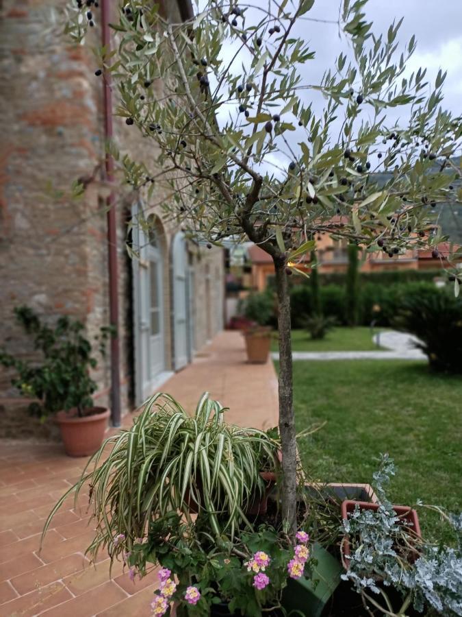 Casale1918 Bed & Breakfast Pietrasanta Exterior photo