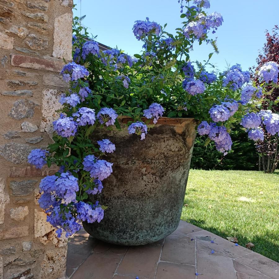 Casale1918 Bed & Breakfast Pietrasanta Exterior photo